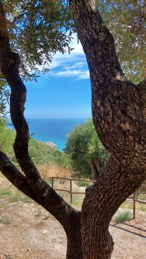 La Casa Sul Blu Diffuso
