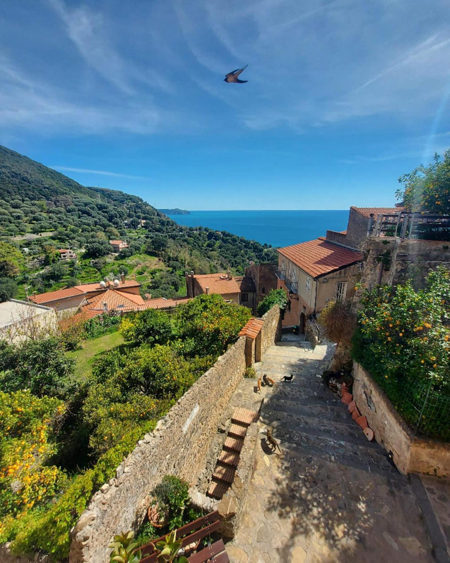 La Casa Sul Blu Diffuso 3*