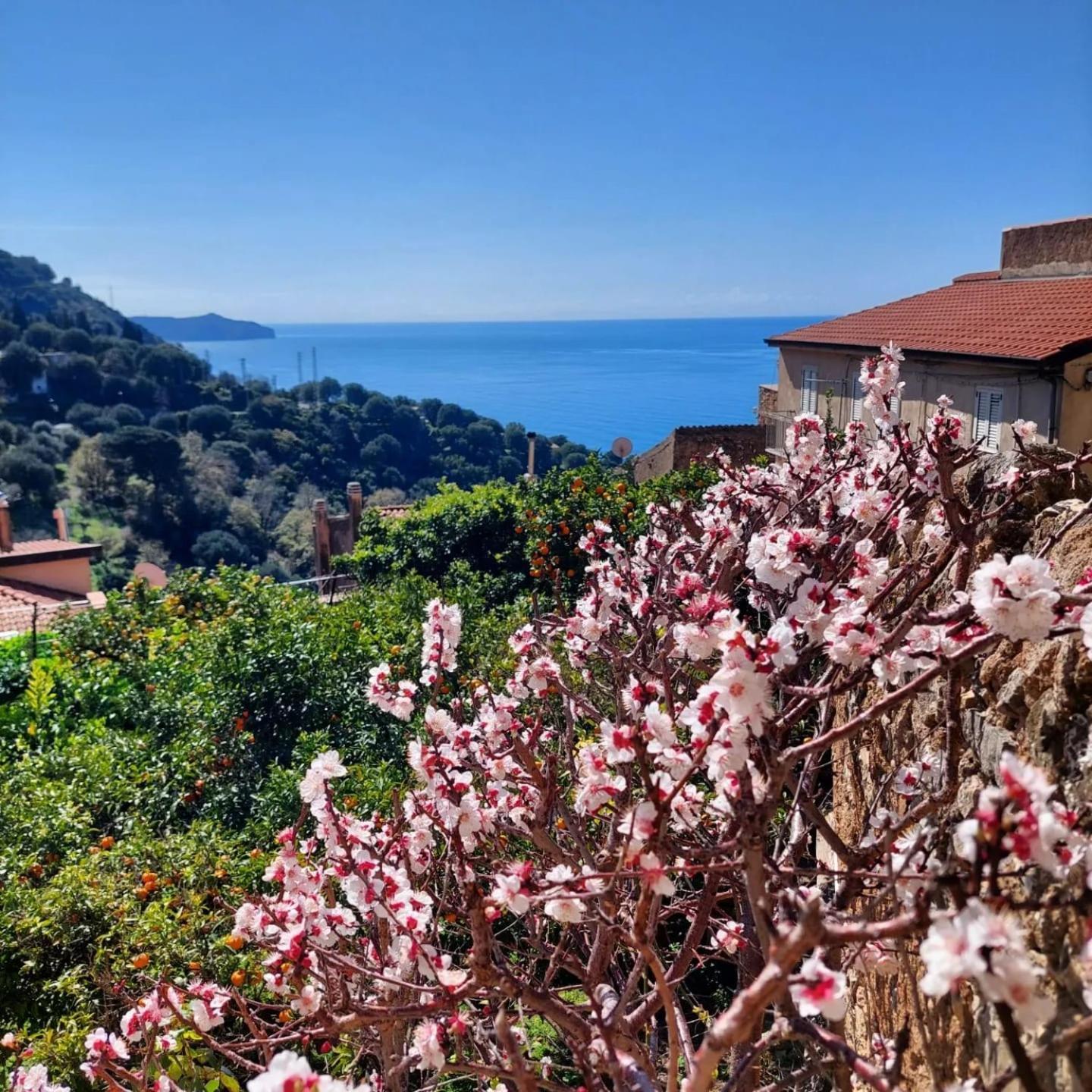 La Casa Sul Blu Diffuso Pisciotta