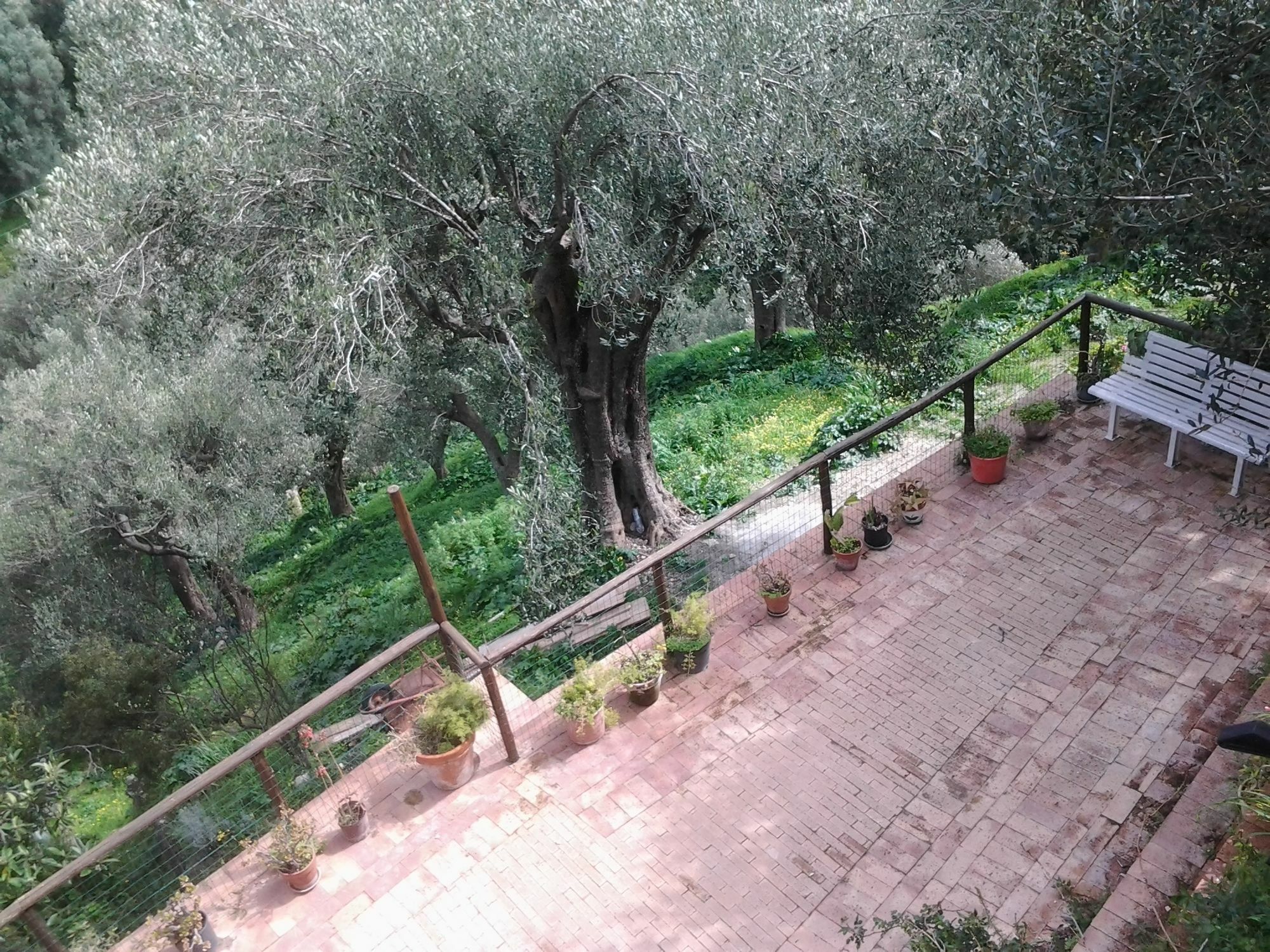 La Casa Sul Blu Diffuso Hotel Pisciotta
